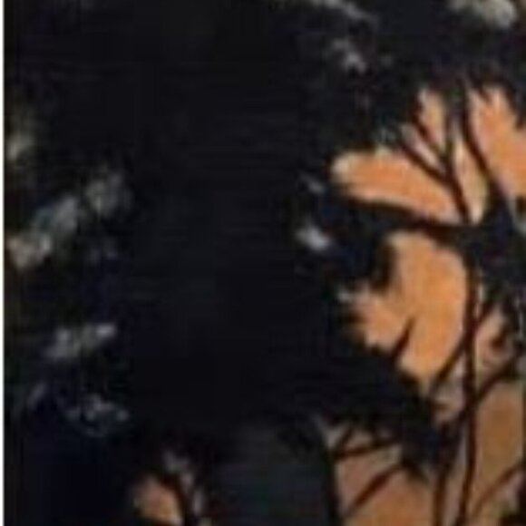 Panama Island Sunset - Picture 3 of 7